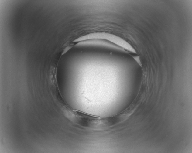 X0000074230237200609222041