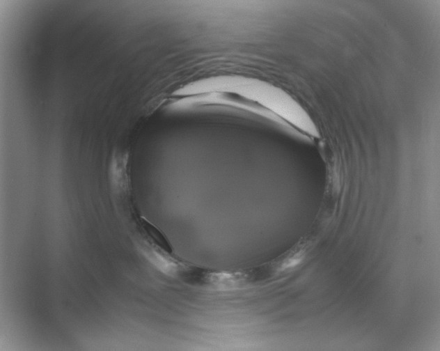 X0000074230239200609222041