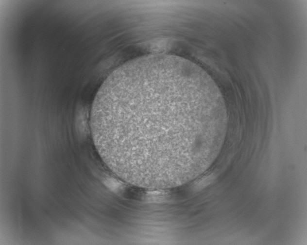 X0000074230240200609222041