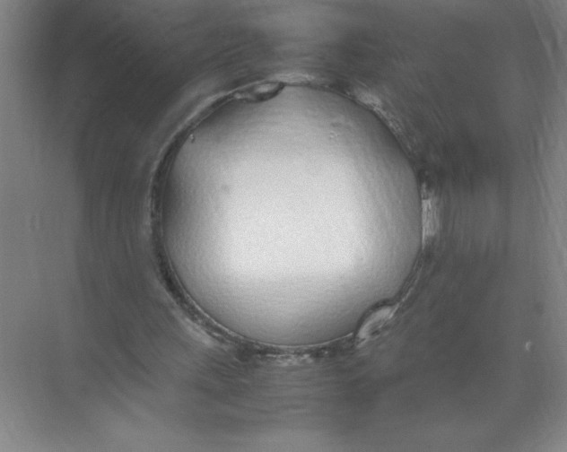 X0000074230243200609222040