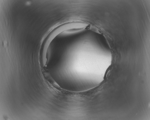 X0000074230244200609222040