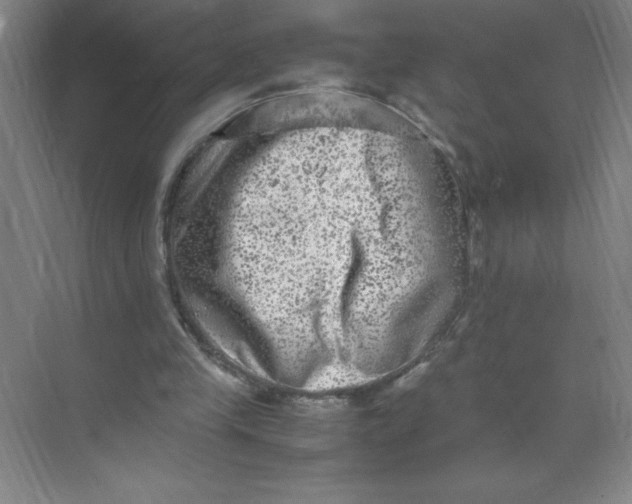 X0000074230245200609222040