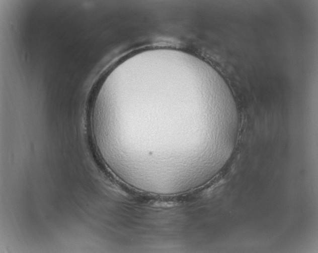 X0000074230247200609222040