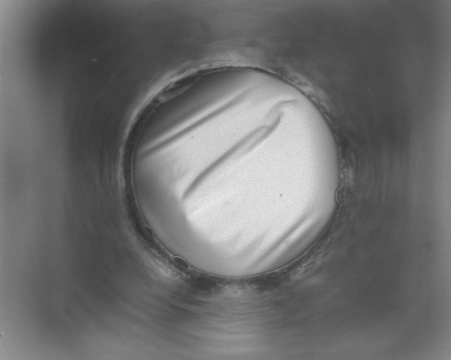 X0000074230248200609222040