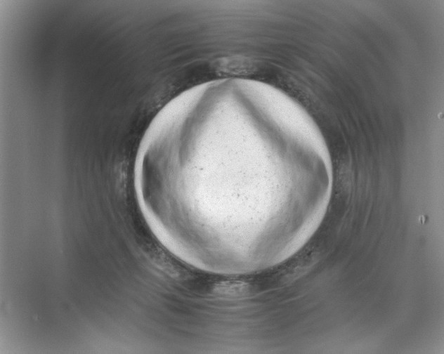 X0000074230271200609222041
