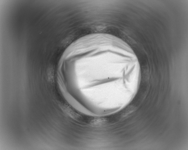 X0000074230274200609222041