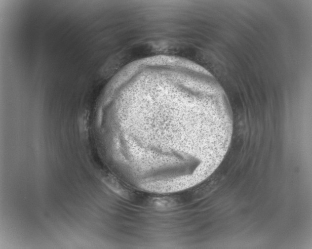 X0000074230275200609222041