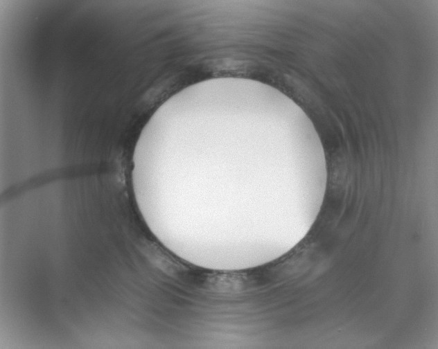 X0000074230282200609222041