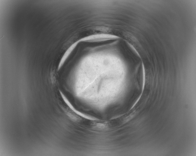 X0000074230285200609222041