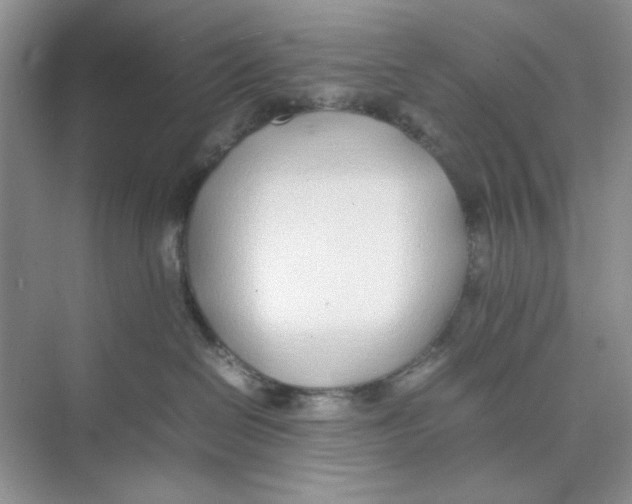 X0000074230286200609222041