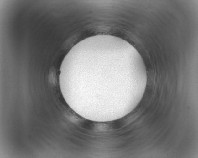 X0000074230287200609222041