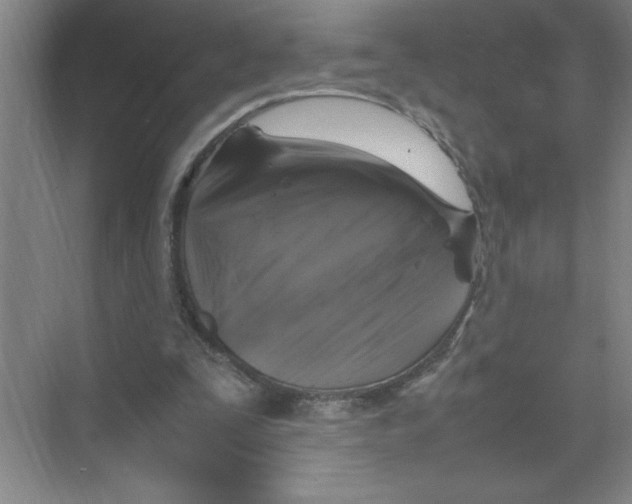 X0000074230295200609222040