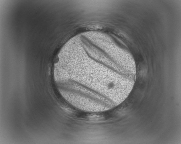 X0000074230315200609222040