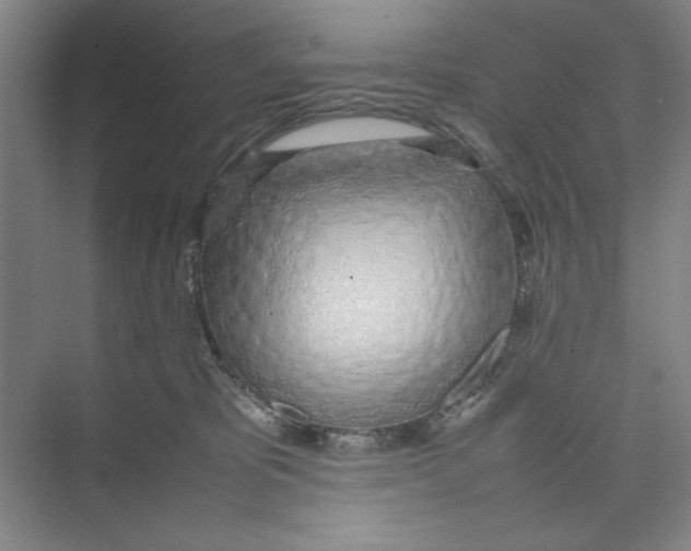 X0000074230325200609222040
