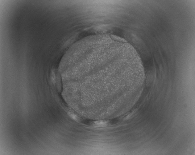 X0000074230335200609222040