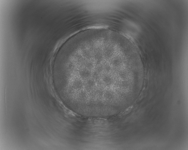 X0000074230337200609222039