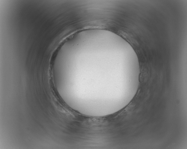 X0000074230338200609222039