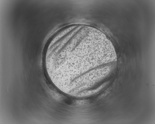 X0000074230344200609222039
