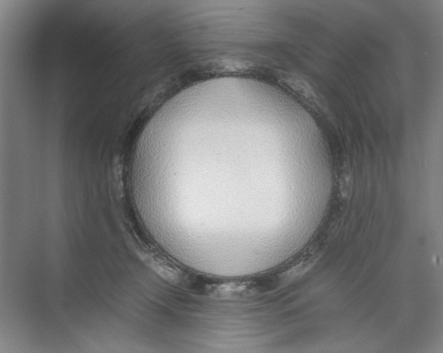X0000074230366200609222039