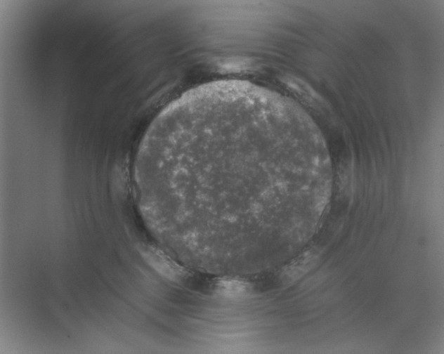 X0000074230376200609222039