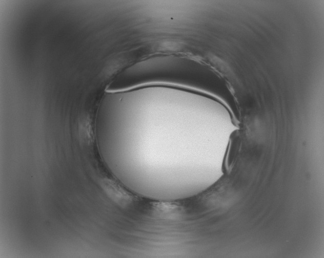 X0000074230380200609222039