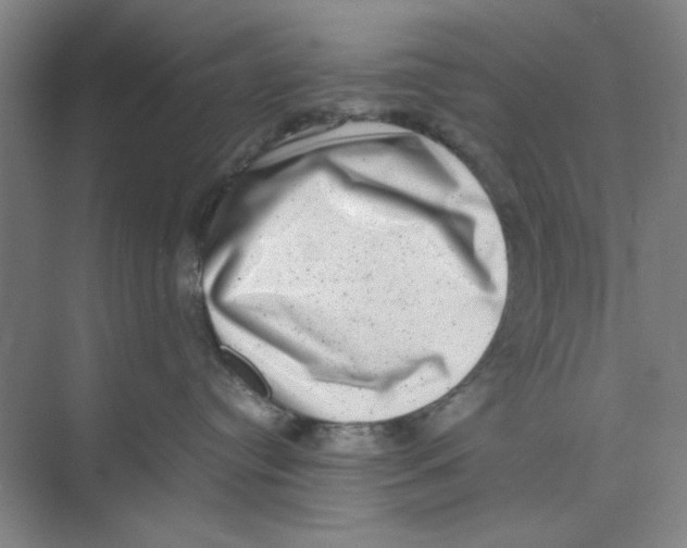 X0000074230384200609222039
