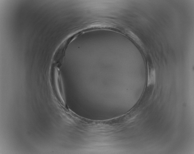 X0000074230387200609222039