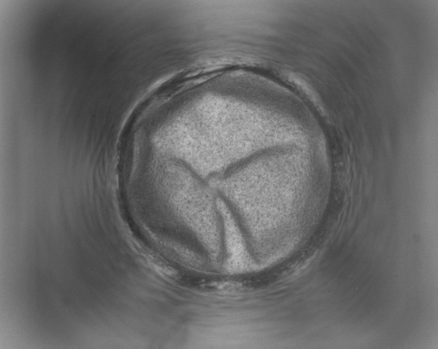 X0000074230395200609222039