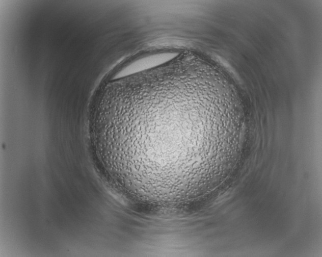X0000074230399200609222038
