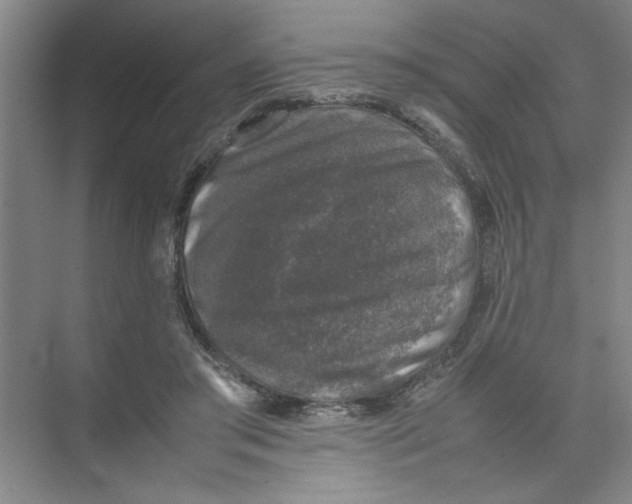 X0000074230405200609222038