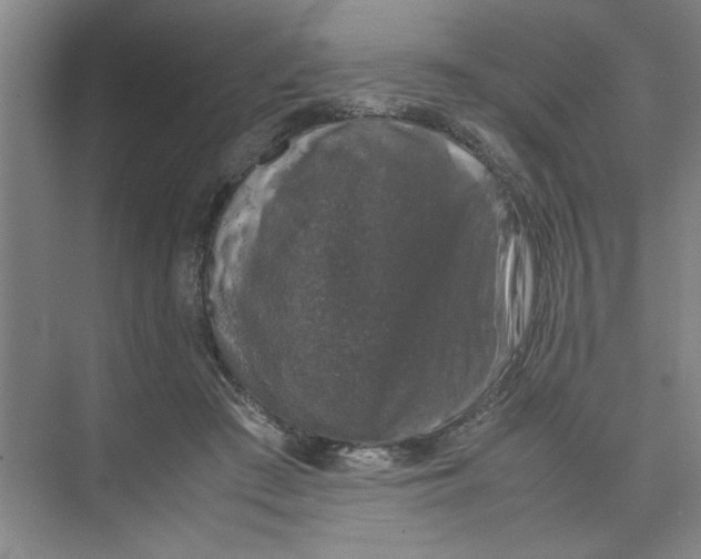 X0000074230409200609222038