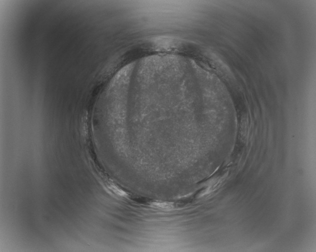 X0000074230413200609222038