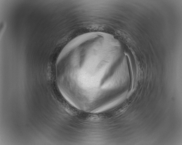 X0000074230416200609222038