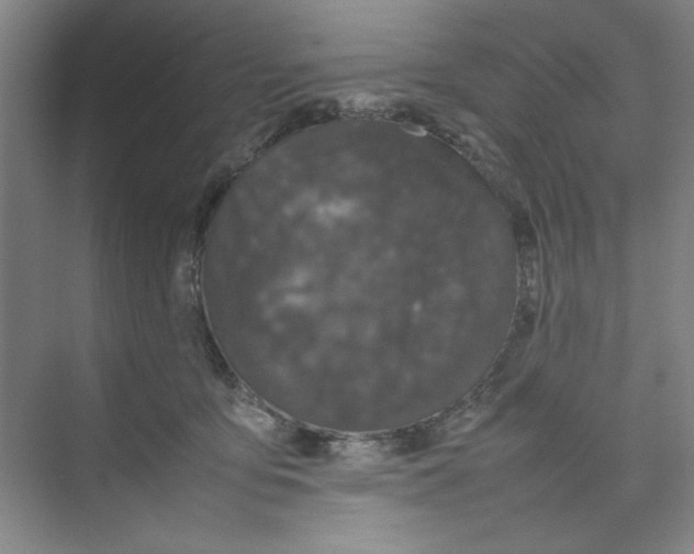 X0000074230419200609222038