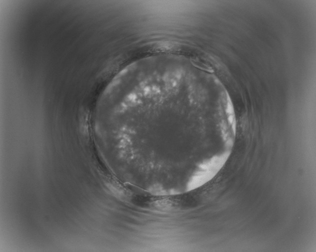 X0000074230423200609222038