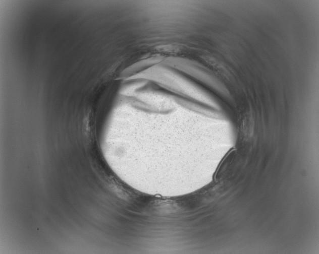 X0000074230424200609222038