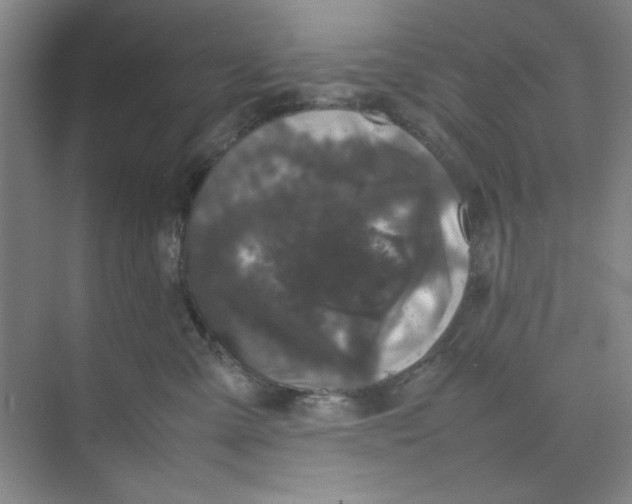 X0000074230427200609222038