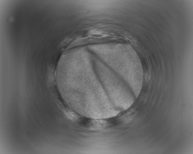 X0000074230429200609222038