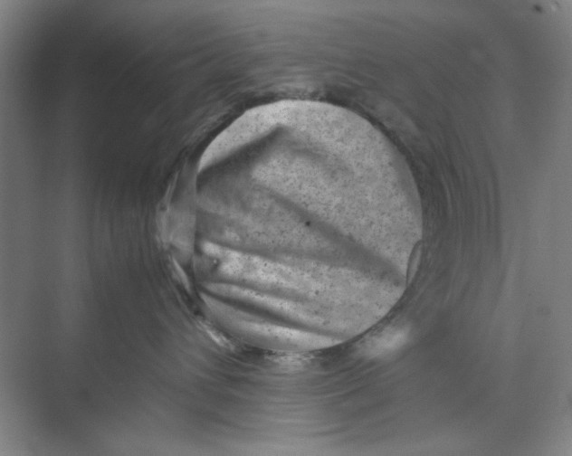 X0000074230432200609222038