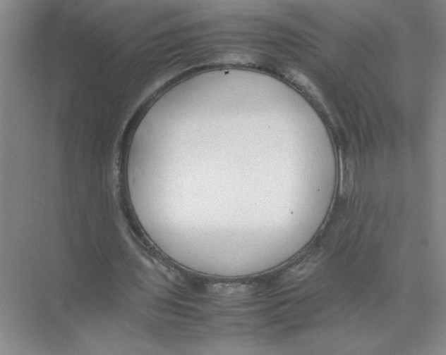 X0000074230435200609222037