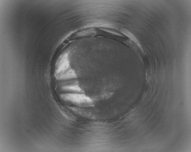 X0000074230436200609222037