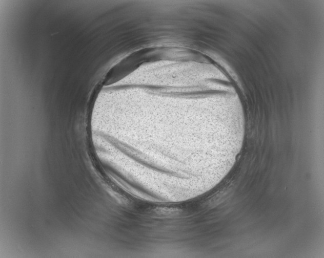 X0000074230437200609222037