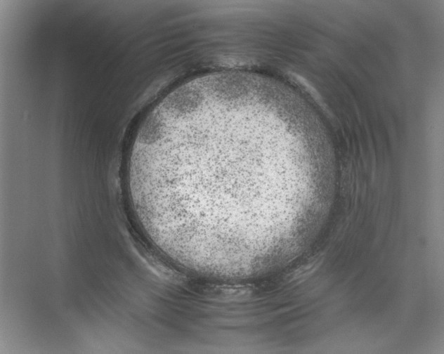 X0000074230443200609222037