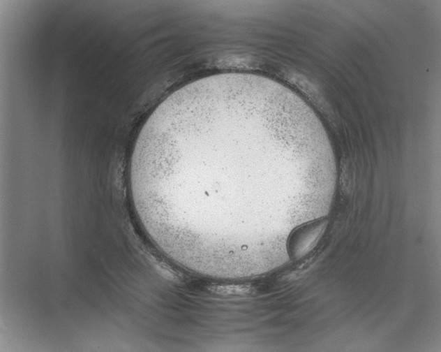 X0000074230449200609222037