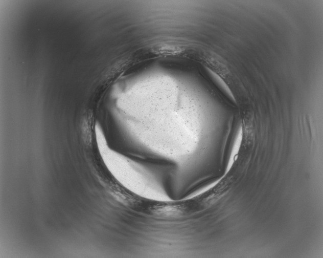 X0000074230460200609222038