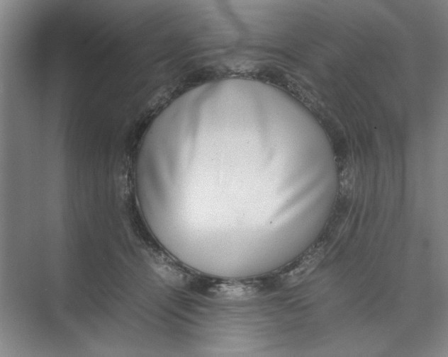 X0000074230464200609222038