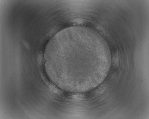 X0000074230468200609222038