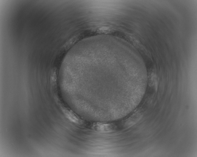 X0000074230472200609222038