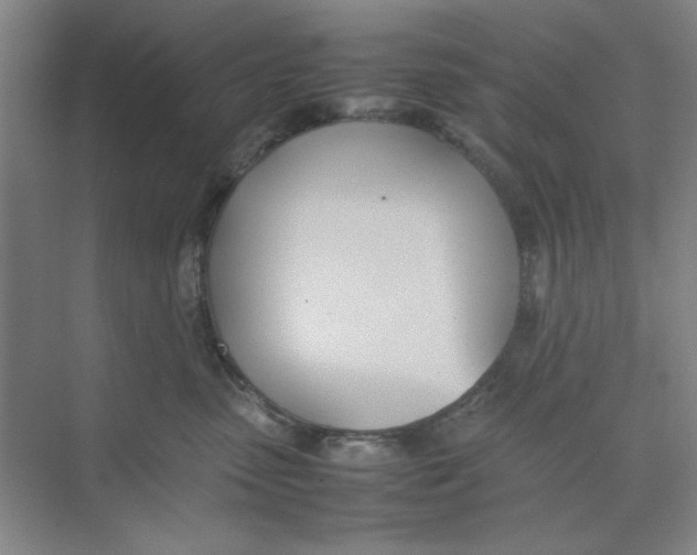 X0000074230475200609222038