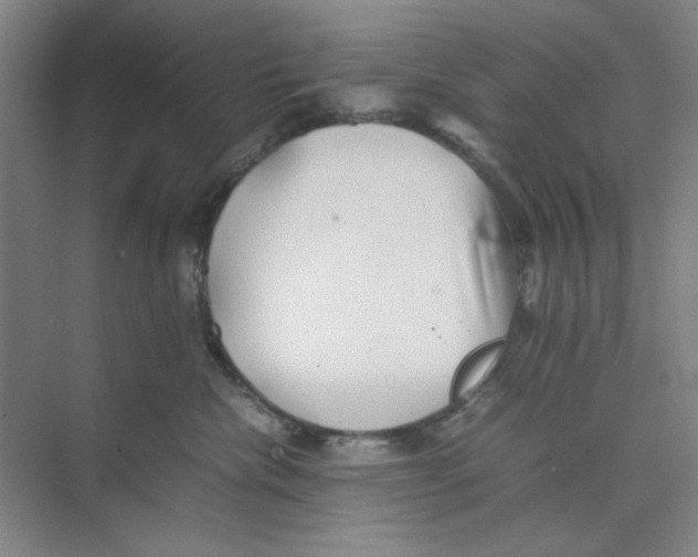 X0000074230476200609222038